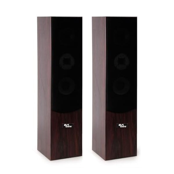 Découvrez l'élégance et la puissance acoustique des enceintes Evidence Acoustics EA700, une fusion parfaite de design en noyer-acajou et de performances sonores impressionnantes.